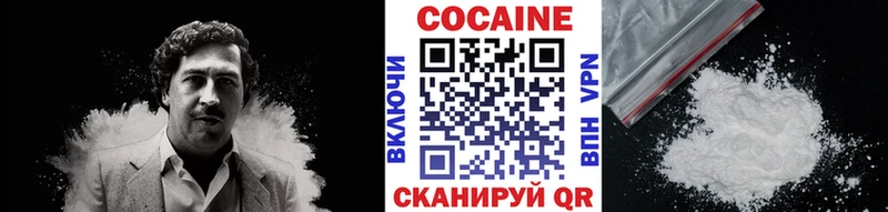 КОКАИН Fish Scale  Купить где  Коряжма 