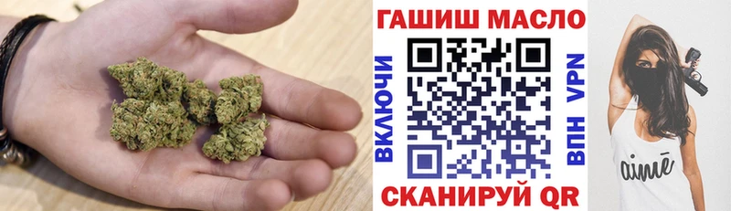 Купить где  Коряжма  ТГК концентрат 