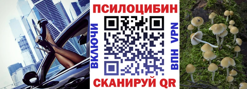 Купить  Коряжма  Галлюциногенные грибы Psilocybe 